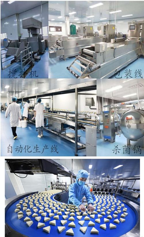 疫情不阻扶貧路 森樂食品保業(yè)增收與文物保護工程設(shè)計